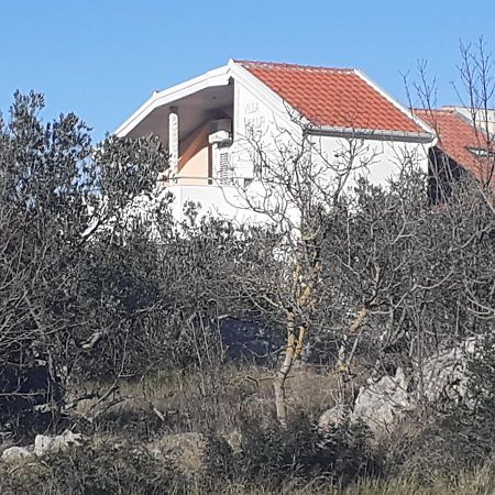 Villa Palfi Jezera Εξωτερικό φωτογραφία